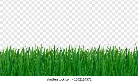 Green fresh grass seamless pattern on transparent background. 3d nature herb, field, meadow, yard or lawn vector illustration.
Organic floral frame for eco design border, web, summer and spring sale