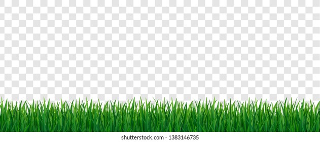 Green fresh grass seamless pattern on transparent background. 3d nature herb, field, meadow, yard or lawn vector illustration.
Organic floral frame for eco design border, web, summer and spring sale