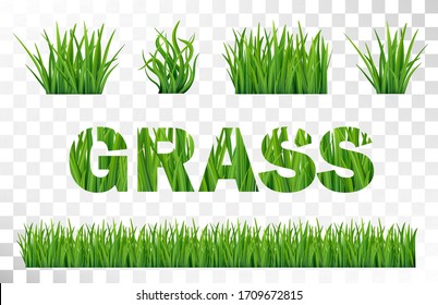 Green fresh grass seamless pattern on transparent background. 3d grassnature herb, field, meadow, yard or lawn vector illustration. Organic floral background for eco design border, web, summer