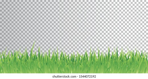 Green fresh grass transparent vector background illustration banner