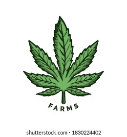 Hoja de cáñamo verde fresco. Hemp aislado. Hoja de marihuana brillante y colorida, elemento de diseño para logo, afiche, tarjeta, pancarta, emblema, camiseta. Ilustración del vector