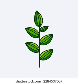 green fresh leaf design vector