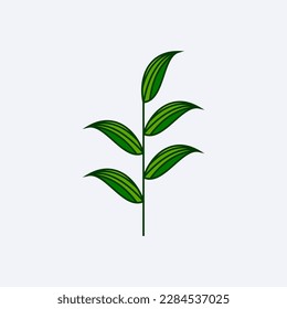green fresh leaf design vector