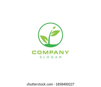 Green fresh leaf logo design-leaf icon design !