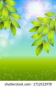 Green fresh leaves with bokeh highlights. Blurred natural background. Summer or Spring season. Vector illustration. Sun day EPS10