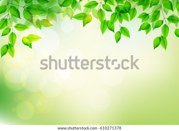 緑の新鮮な葉 ぼかした背景 夏または春の季節 ベクターイラスト Eps10 のベクター画像素材 ロイヤリティフリー