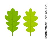 Green fresh oak vector leaflet on white background