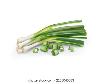Green fresh onion for salad. Vector illustration.