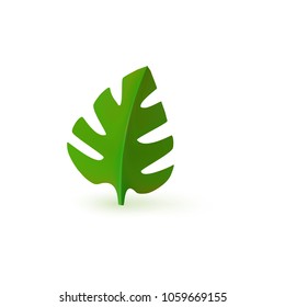 Green fresh paper monstera leaf isolated on white background. Silhouette of exotic tropical plant - eco natural and bio organic element. Cartoon vector illustration.