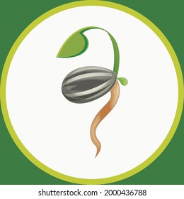 Green fresh plant sprout with roots vector illustration.