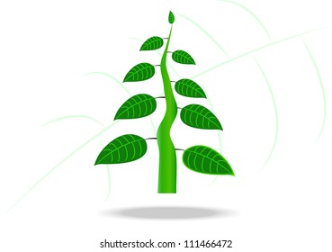 Green fresh plant, young sapling. Vector illustration, isolated on a white.