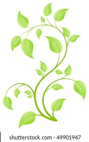 Green fresh plant, young sapling. Vector illustration, isolated on a white.