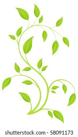 Green fresh plant, young sapling. Vector illustration, isolated on a white.