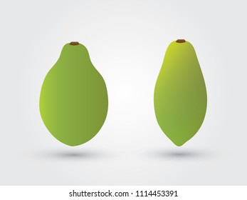 Green fresh ripe papaya vector illustration