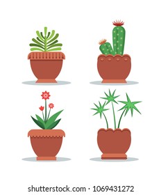 Green fresh room plants grown in big clay pots set. Indoor plants for decoration and to spread oxygen. Cactus and leafy plants vector illustrations.