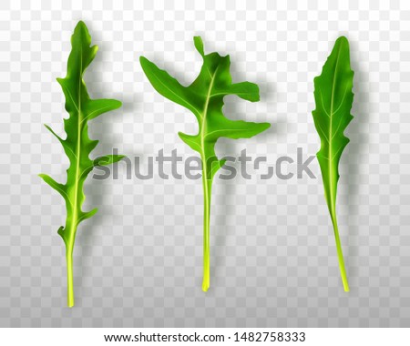 Similar – the green ones Vegetable