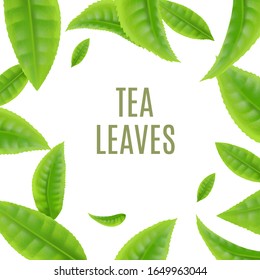 Green fresh tea leaves frame realistic vector illustration isolated on white background. Creative banner with tea bushes foliage template or mockup.