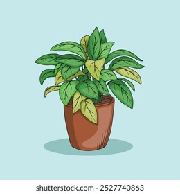 Green and fresh tropical plants with lush leaves for interior and home decoration