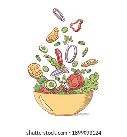 Green fresh vegetable salad in outline sketch style. Organic farm healthy food. Vegan, vegetarian, dietary, vitamin dish. Isolated vector illustrations.
