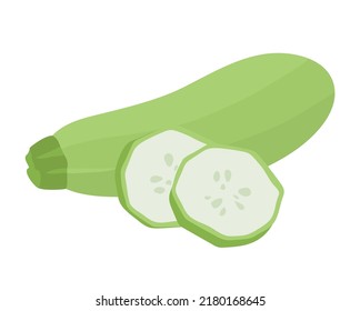 Green fresh zucchini. Cut slices. Useful tasty vegetable. Healthy food. Vegetable fiber. Agricultural harvest. Flat vector illustration isolated on white background