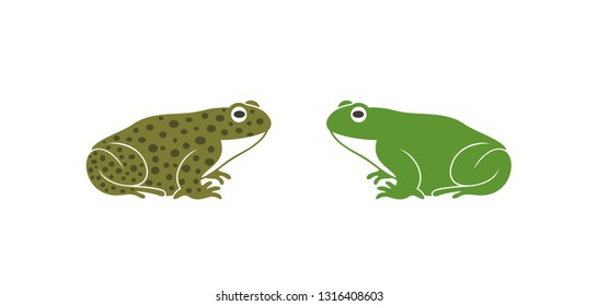 Green frog. Abstract frog on white background. Bufo Common European Toad