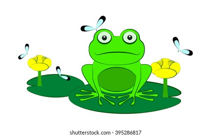 Green frog among water lilies and dragonflies