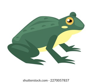 green frog amphibian animal character