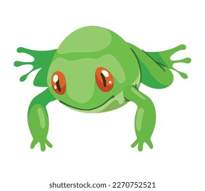 green frog amphibian animal character