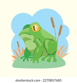 green frog amphibian animal scene