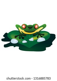 green frog amphibians