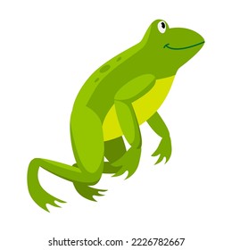 Green frog bouncing in place. Cartoon vector illustration. Leaping toad on white background. Funny water animal. Nature, movement, amphibia, reptile, fauna concept for design svg