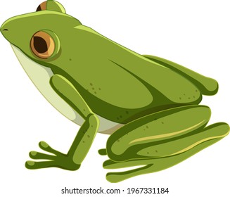 Green frog cartoon character isolated illustration