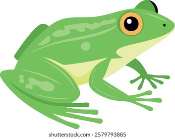 Green frog in cartoon style