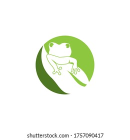 Green frog cartoon vector illustration