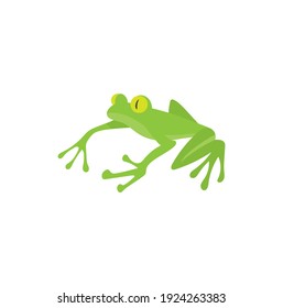 Green Frosch Cartoon Vektorgrafik auf weißem Hintergrund