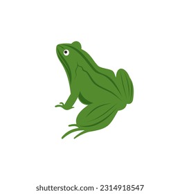 Green frog cartoon vector on a white background