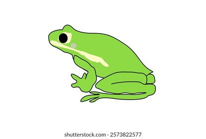 Green frog cute cartoon simple vector ilustration cartoon