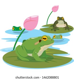 green frog in different pose. Vector illustration.