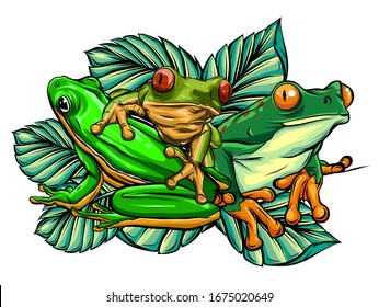 green frog in different pose. Vector illustration.