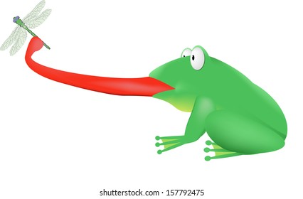 Green frog  and dragonfly