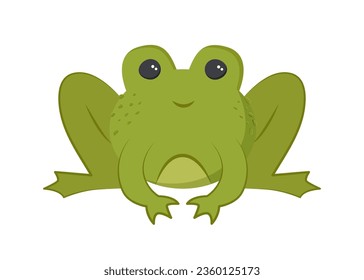 Green frog in flat style on white background.