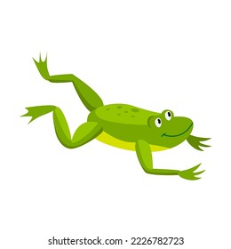 Green frog flying in a jump. Cartoon vector illustration. Leaping toad on white background. Funny water animal. Nature, movement, amphibia, reptile, fauna concept for design