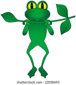 Green frog hanging from a tree branch.
