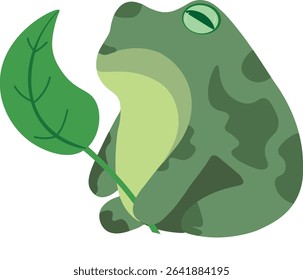 Green frog holding a large green leaf. Has round eyes. cartoonish, simple style. Green colors . White background. Vector illustration EPS10