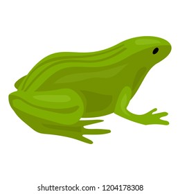 Green frog icon. Cartoon of green frog vector icon for web design isolated on white background