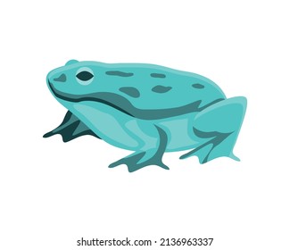 green frog icon isolated flat