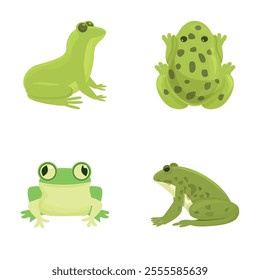 Green frog icons set cartoon vector. Various cartoon wild frog. Amphibian reptile