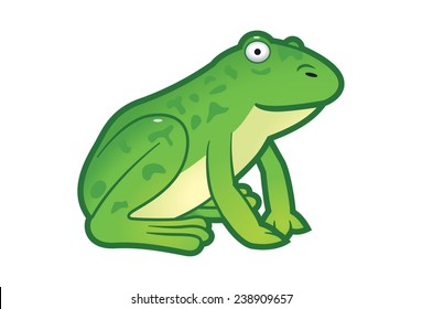 Green frog illustration