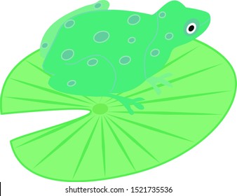 Green frog, illustration, vector on white background.