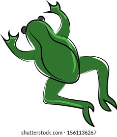 Green frog, illustration, vector on white background.